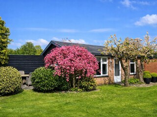 Bungalow Schoorl Outdoor Recording 1