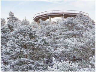 Appartamento per vacanze Cleebourg Registrazione all'aperto 4