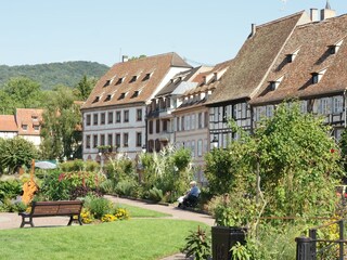 Appartamento per vacanze Cleebourg Ambiente 22