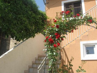 Apartamento Prvić (Šibenik) Grabación al aire libre 2