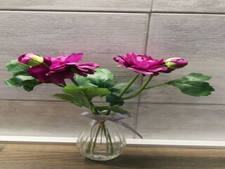 Apartment Karlovac  14