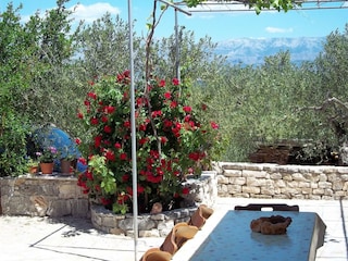 Holiday house Mirca  19