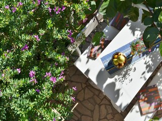 Apartment Orebic  36