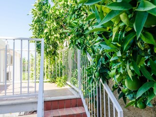 Apartamento Dubrovnik Grabación al aire libre 2