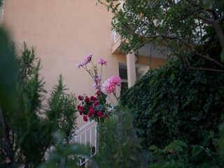 Apartment Mlini Außenaufnahme 14