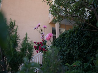 Apartment Mlini Outdoor Recording 14
