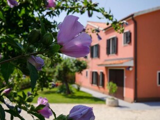 Villa Sveta Marija Na Krasu Außenaufnahme 14