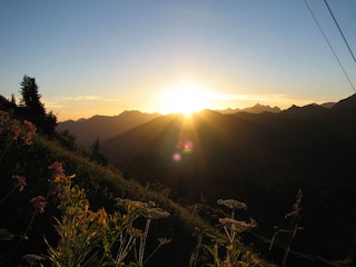 Sonnenaufgang auf dem Walmendinger Horn