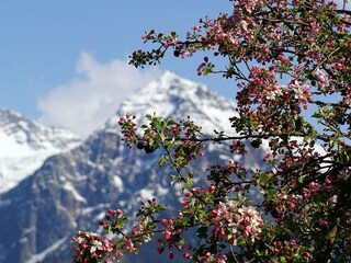 Apartamento de vacaciones Oberstdorf Entorno 9