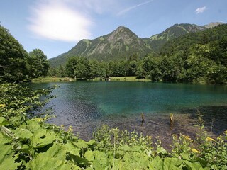 Apartamento de vacaciones Oberstdorf Entorno 10