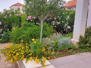 Villa Donje Selo Außenaufnahme 14