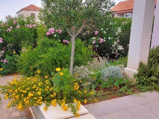 Villa Donje Selo Outdoor Recording 14