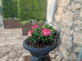 Appartamento Privlaka Registrazione all'aperto 4