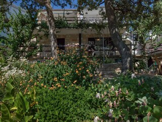 Ferienhaus Zastražišće Außenaufnahme 2
