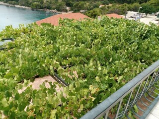 Apartamento Saplunara Grabación al aire libre 2