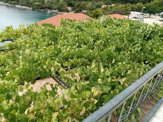 Apartment Saplunara Outdoor Recording 2