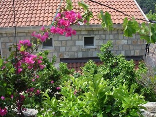 Apartment Saplunara Außenaufnahme 19