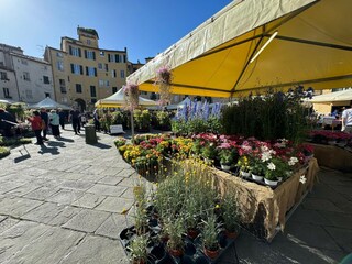 Apartment Lucca Umgebung 23