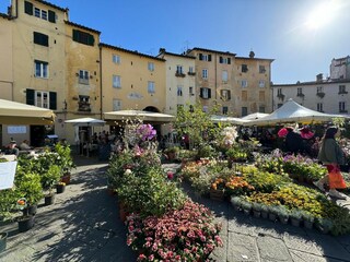 Apartment Lucca Umgebung 24