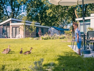 Ferienpark Kaatsheuvel Außenaufnahme 7
