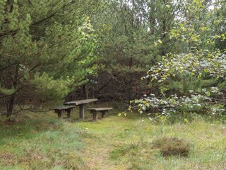Ferienhaus Blåvand Außenaufnahme 7