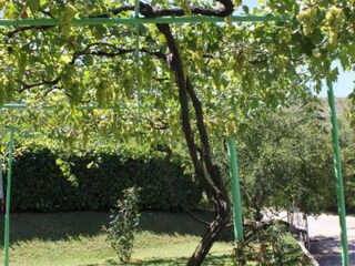 Apartment Čapljina Außenaufnahme 3