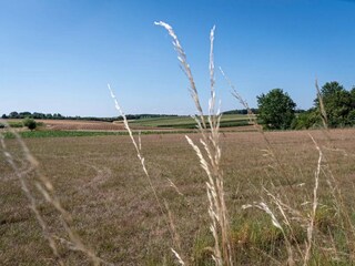 Appartamento Tongeren Ambiente 18