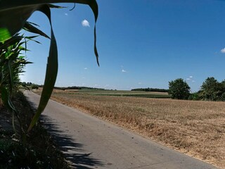 Appartamento Tongeren Ambiente 19