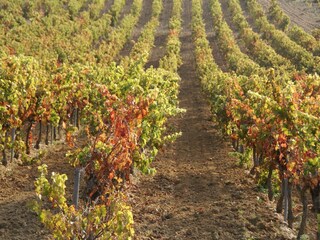 Casa de vacaciones Valréas Entorno 26