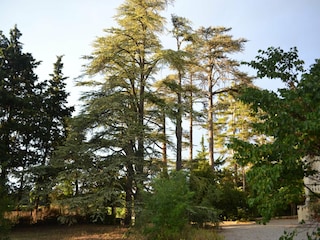Maison de vacances Valréas Environnement 29