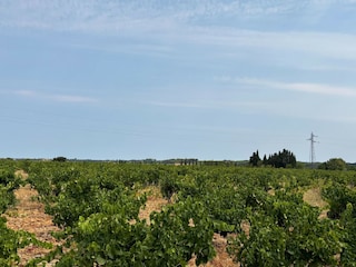 Casa per le vacanze Entraigues-sur-la-Sorgue Ambiente 38