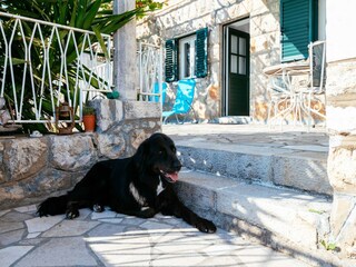 Appartement Dubrovnik  23