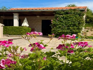Apartment Bol  16