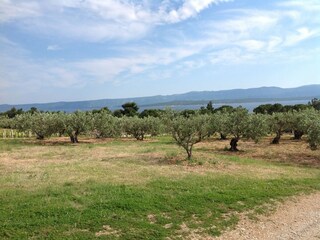 Casa per le vacanze Bol  16