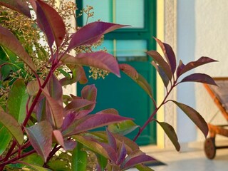 Maison de vacances Bol  25