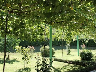 Apartment Čapljina Außenaufnahme 3