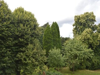 Chalet Geel Environment 26