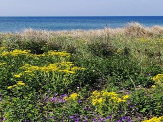 Casa de vacaciones Dannemare Grabación al aire libre 17