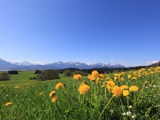 Vakantieappartement Rieden am Forggensee Buitenaudio-opname 19