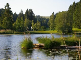 Vakantieappartement Rieden am Forggensee Buitenaudio-opname 21
