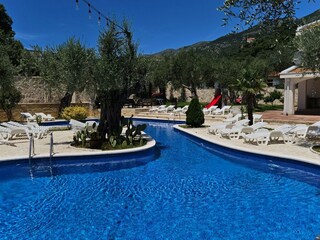 Apartment Budva  11