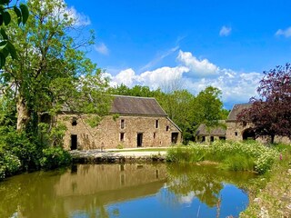 Pond