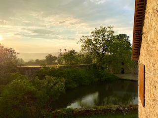 Blick über den Teich