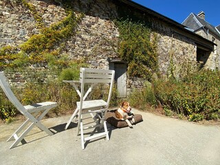 Fenced garden/terrace on the east side