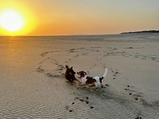 Wide, empty beaches