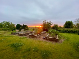 Gemüsegarten