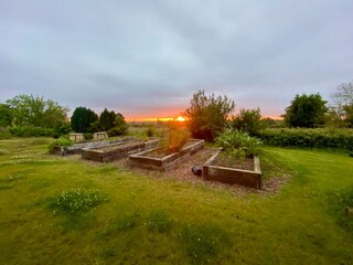 Vegetable garden