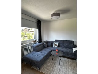 Couch (ausziehbar)