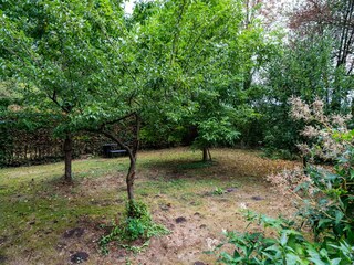 Ferienhaus Haaksbergen Außenaufnahme 7