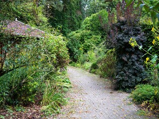 Ferienhaus Haaksbergen Außenaufnahme 15